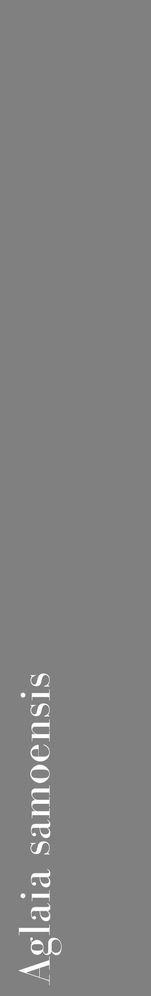 Étiquette de : Aglaia samoensis - format c - style blanche57_basiquebod avec comestibilité