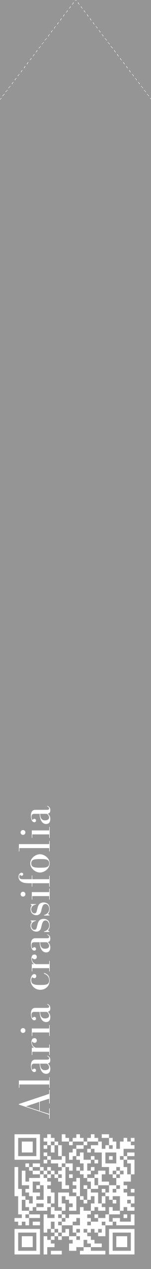 Étiquette de : Alaria crassifolia - format c - style blanche16_simple_simplebod avec qrcode et comestibilité - position verticale