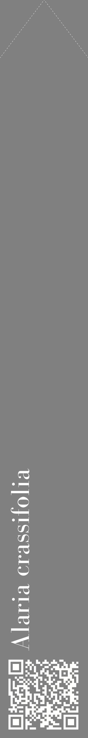 Étiquette de : Alaria crassifolia - format c - style blanche57_simplebod avec qrcode et comestibilité