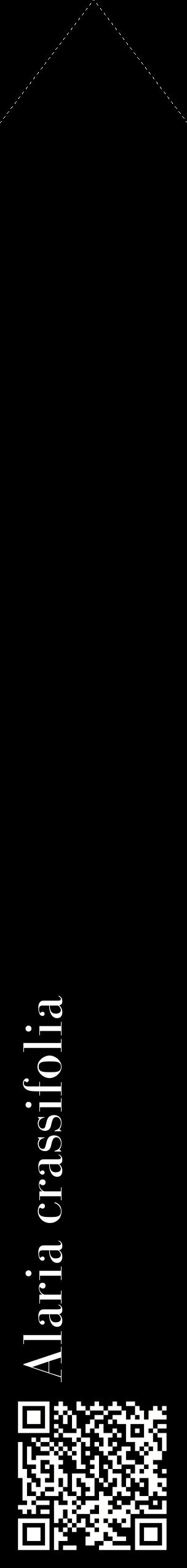 Étiquette de : Alaria crassifolia - format c - style blanche59_simplebod avec qrcode et comestibilité