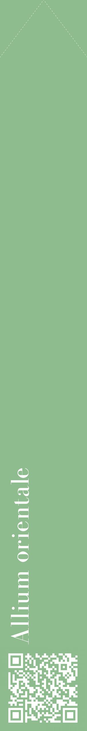 Étiquette de : Allium orientale - format c - style blanche13_simplebod avec qrcode et comestibilité