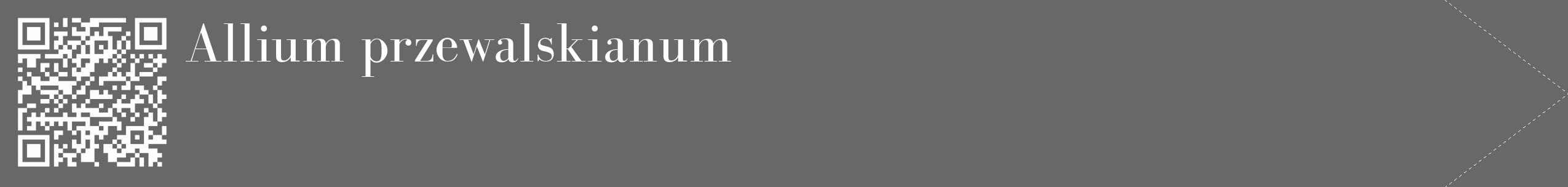 Étiquette de : Allium przewalskianum - format c - style blanche6_simple_simplebod avec qrcode et comestibilité