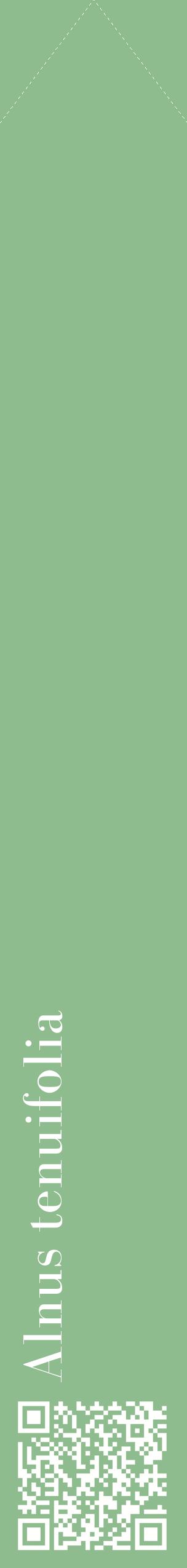 Étiquette de : Alnus tenuifolia - format c - style blanche13_simplebod avec qrcode et comestibilité