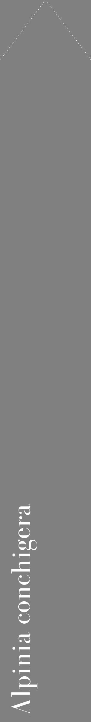 Étiquette de : Alpinia conchigera - format c - style blanche57_simplebod avec comestibilité