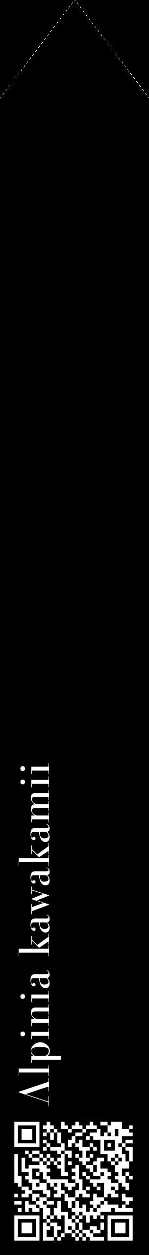 Étiquette de : Alpinia kawakamii - format c - style blanche59_simplebod avec qrcode et comestibilité