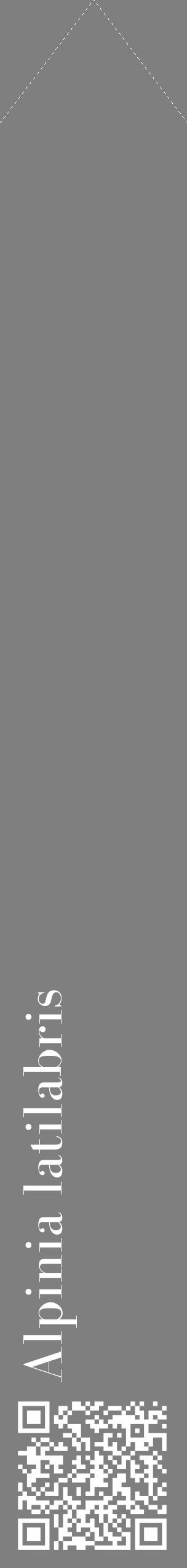 Étiquette de : Alpinia latilabris - format c - style blanche31_simple_simplebod avec qrcode et comestibilité - position verticale