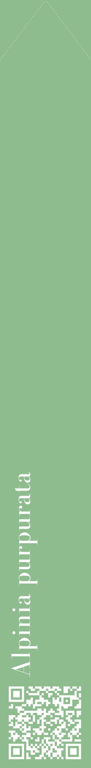 Étiquette de : Alpinia purpurata - format c - style blanche13_simplebod avec qrcode et comestibilité