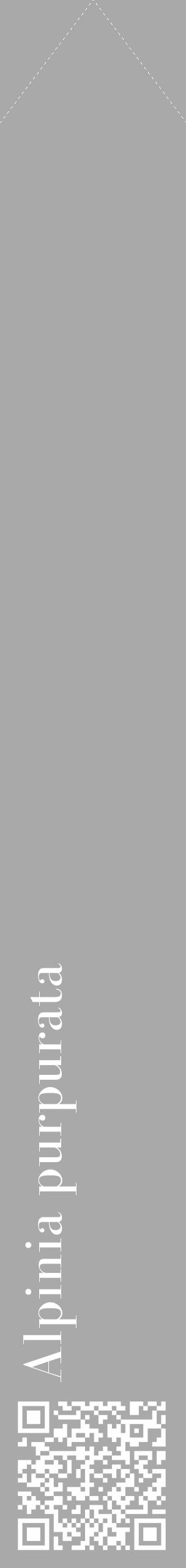 Étiquette de : Alpinia purpurata - format c - style blanche13_simple_simplebod avec qrcode et comestibilité - position verticale