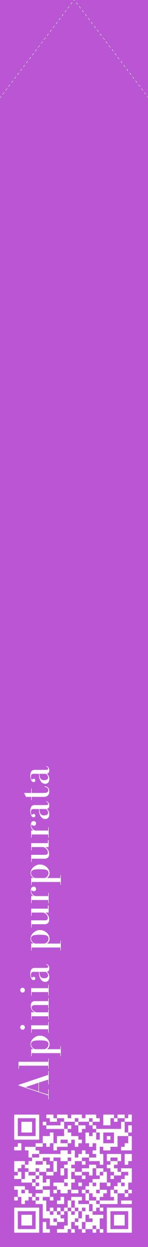 Étiquette de : Alpinia purpurata - format c - style blanche50_simplebod avec qrcode et comestibilité