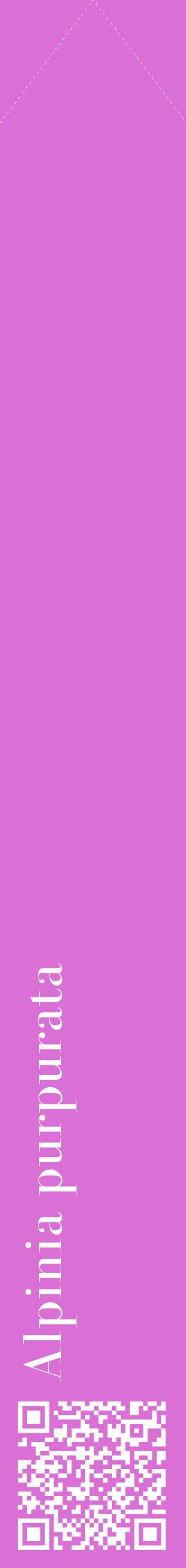 Étiquette de : Alpinia purpurata - format c - style blanche52_simplebod avec qrcode et comestibilité
