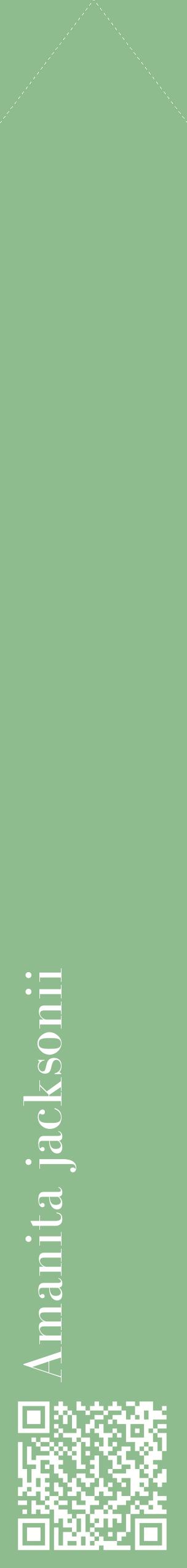 Étiquette de : Amanita jacksonii - format c - style blanche13_simplebod avec qrcode et comestibilité