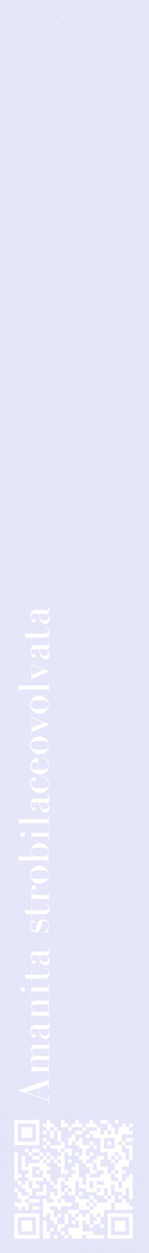 Étiquette de : Amanita strobilaceovolvata - format c - style blanche55_simplebod avec qrcode et comestibilité