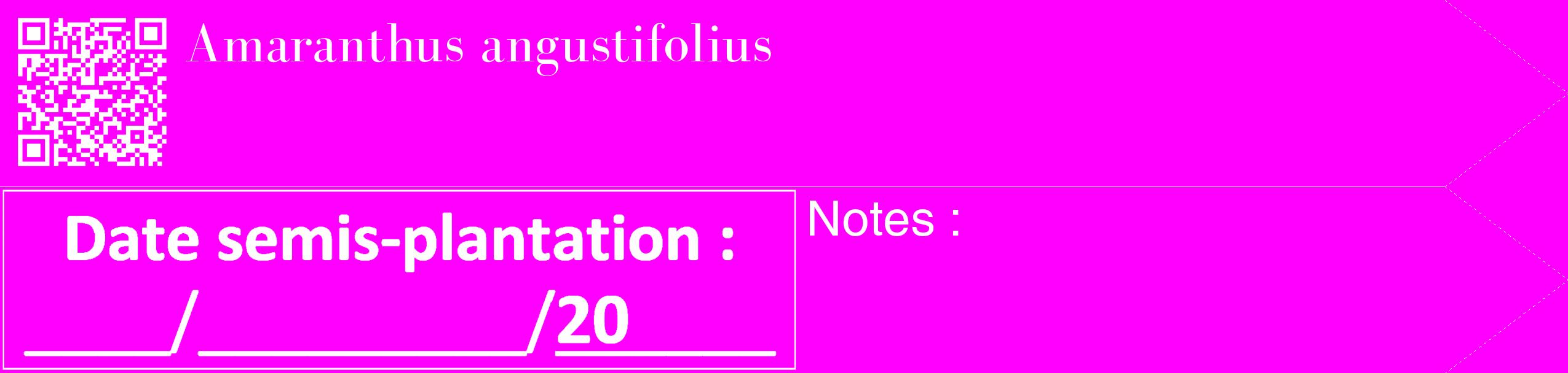 Étiquette de : Amaranthus angustifolius - format c - style blanche51_simple_simplebod avec qrcode et comestibilité