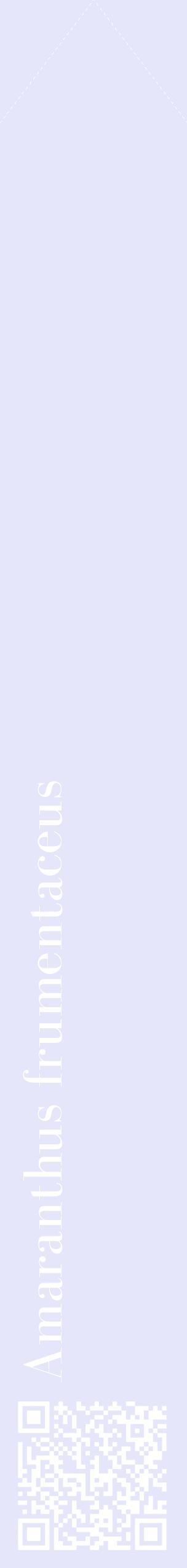 Étiquette de : Amaranthus frumentaceus - format c - style blanche55_simplebod avec qrcode et comestibilité