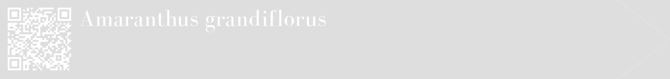 Étiquette de : Amaranthus grandiflorus - format c - style blanche20_simple_simplebod avec qrcode et comestibilité