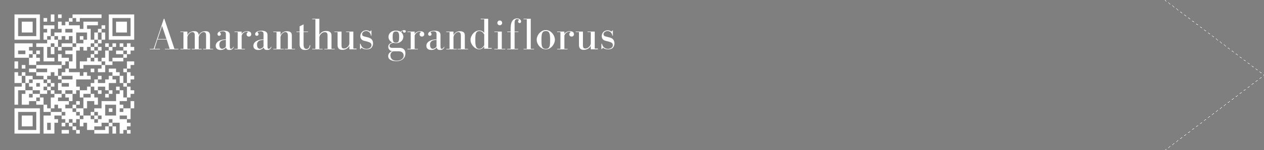 Étiquette de : Amaranthus grandiflorus - format c - style blanche31_simple_simplebod avec qrcode et comestibilité