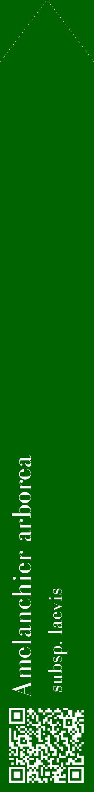 Étiquette de : Amelanchier arborea subsp. laevis - format c - style blanche8_simplebod avec qrcode et comestibilité