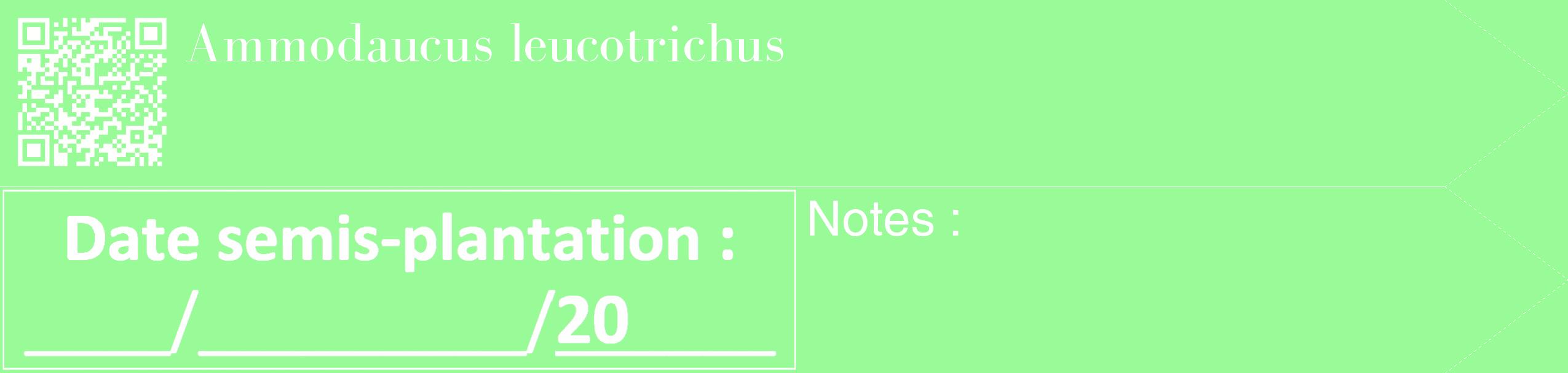 Étiquette de : Ammodaucus leucotrichus - format c - style blanche14_simple_simplebod avec qrcode et comestibilité
