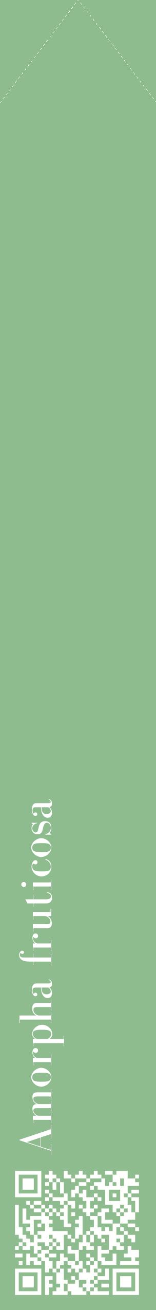 Étiquette de : Amorpha fruticosa - format c - style blanche13_simplebod avec qrcode et comestibilité