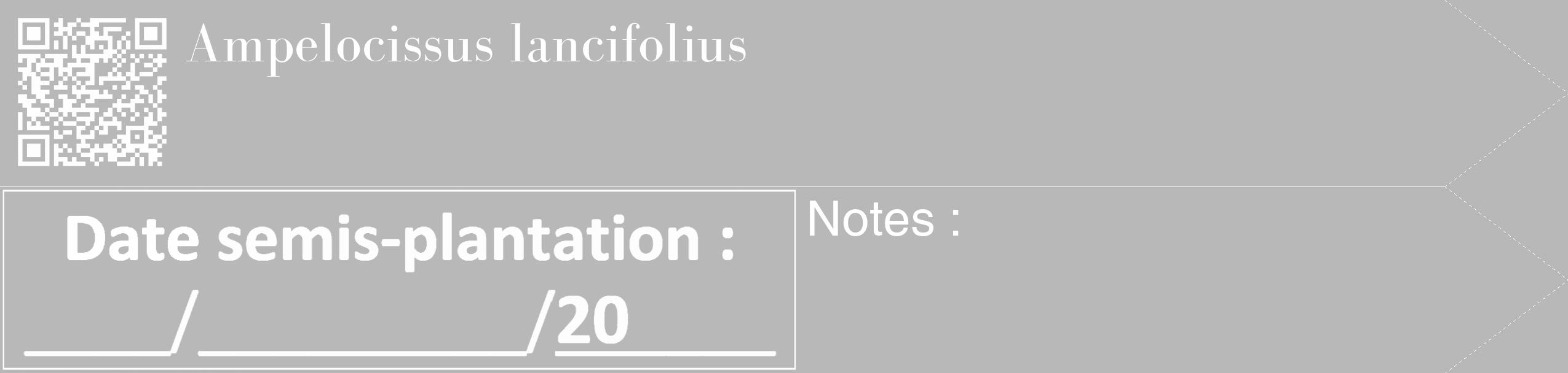 Étiquette de : Ampelocissus lancifolius - format c - style blanche39_simple_simplebod avec qrcode et comestibilité