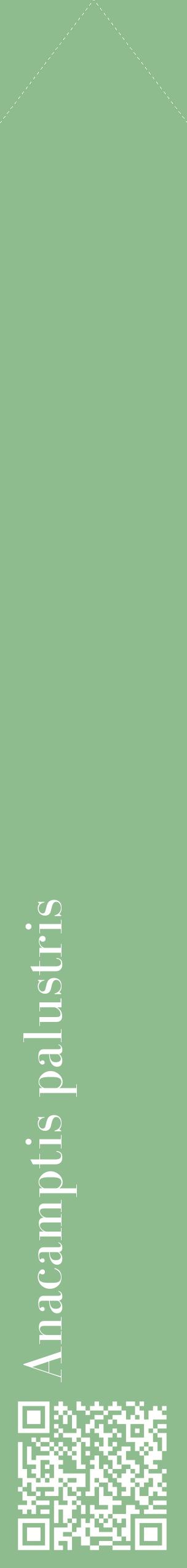 Étiquette de : Anacamptis palustris - format c - style blanche13_simplebod avec qrcode et comestibilité