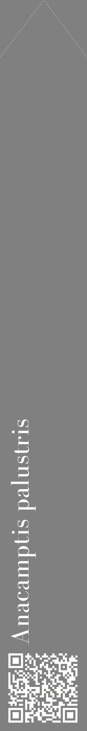 Étiquette de : Anacamptis palustris - format c - style blanche57_simplebod avec qrcode et comestibilité