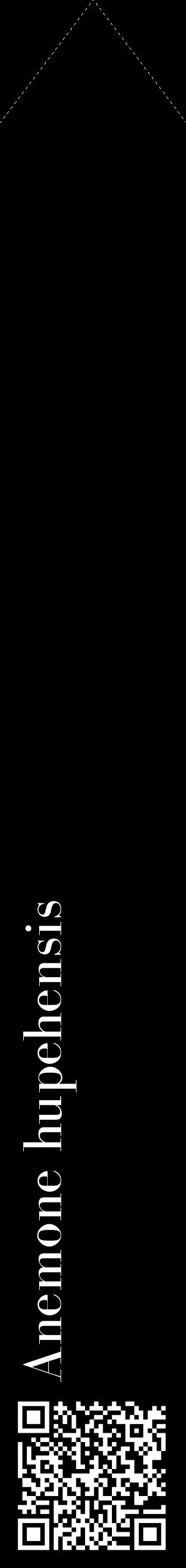 Étiquette de : Anemone hupehensis - format c - style blanche59_simplebod avec qrcode et comestibilité