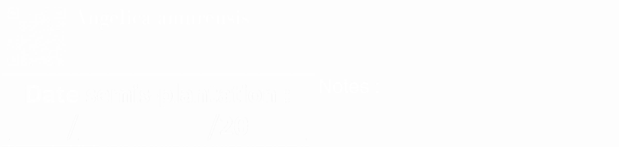 Étiquette de : Angelica amurensis - format c - style blanche19_simple_simplebod avec qrcode et comestibilité