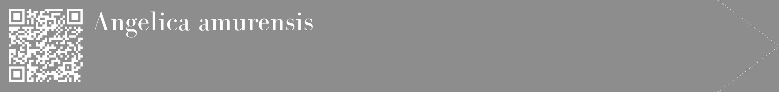 Étiquette de : Angelica amurensis - format c - style blanche2_simple_simplebod avec qrcode et comestibilité