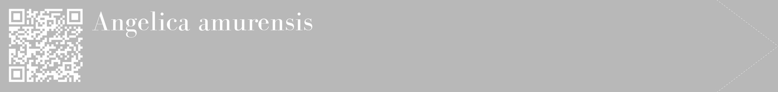 Étiquette de : Angelica amurensis - format c - style blanche39_simple_simplebod avec qrcode et comestibilité