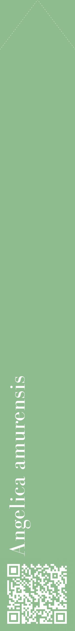 Étiquette de : Angelica amurensis - format c - style blanche13_simplebod avec qrcode et comestibilité
