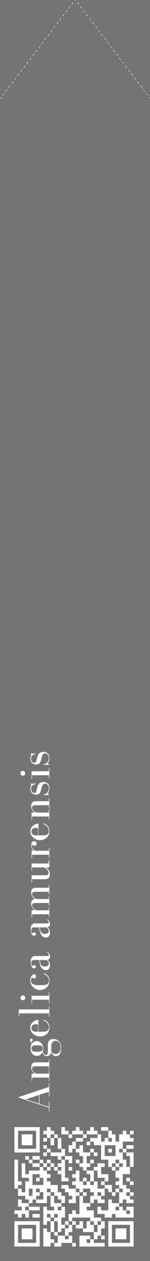 Étiquette de : Angelica amurensis - format c - style blanche26_simple_simplebod avec qrcode et comestibilité - position verticale