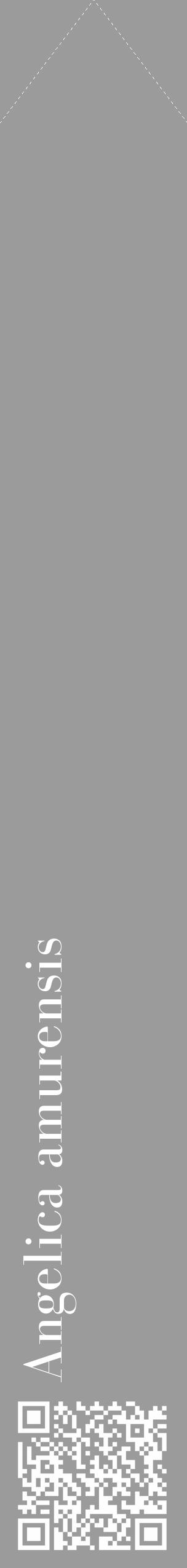 Étiquette de : Angelica amurensis - format c - style blanche52_simple_simplebod avec qrcode et comestibilité - position verticale