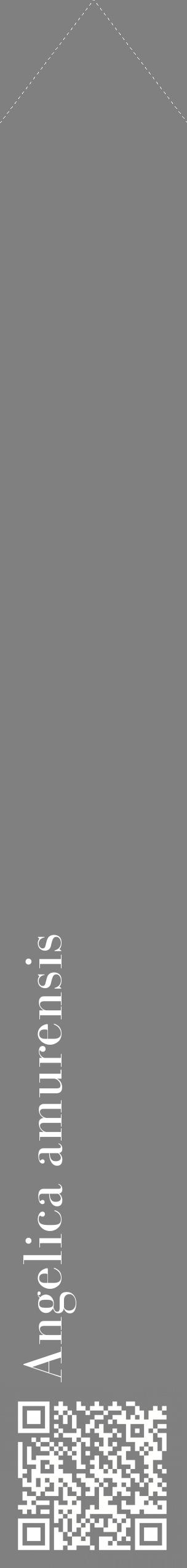 Étiquette de : Angelica amurensis - format c - style blanche57_simplebod avec qrcode et comestibilité