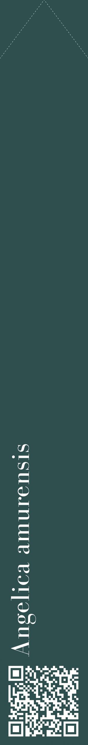 Étiquette de : Angelica amurensis - format c - style blanche58_simplebod avec qrcode et comestibilité