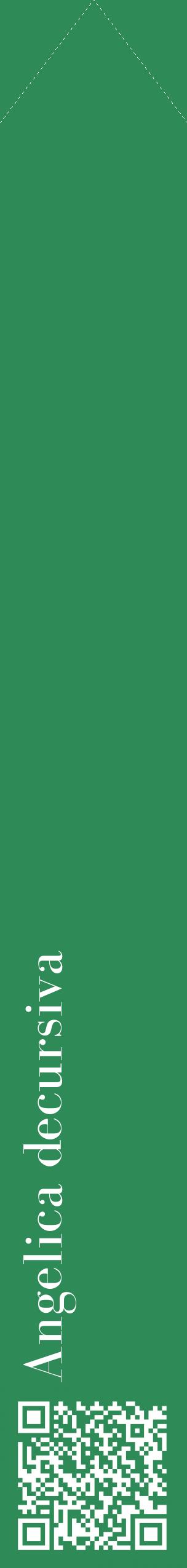 Étiquette de : Angelica decursiva - format c - style blanche11_simplebod avec qrcode et comestibilité