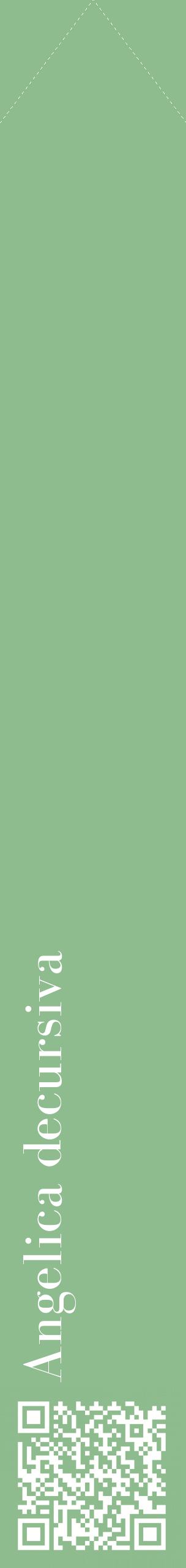 Étiquette de : Angelica decursiva - format c - style blanche13_simplebod avec qrcode et comestibilité