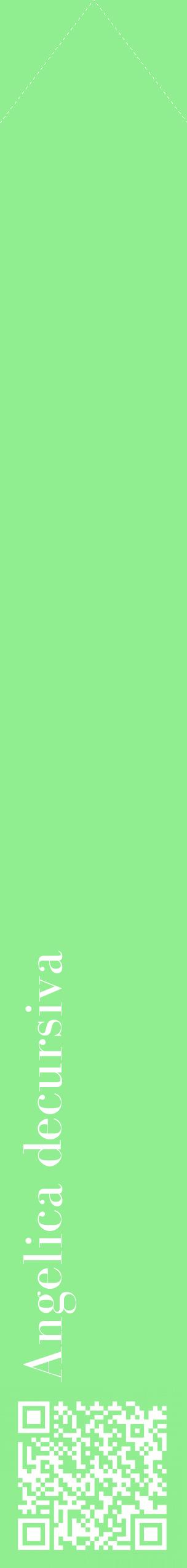 Étiquette de : Angelica decursiva - format c - style blanche15_simplebod avec qrcode et comestibilité