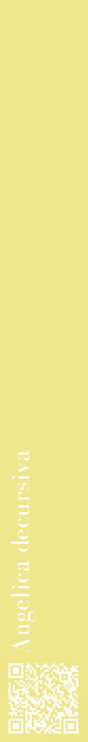 Étiquette de : Angelica decursiva - format c - style blanche20_simplebod avec qrcode et comestibilité