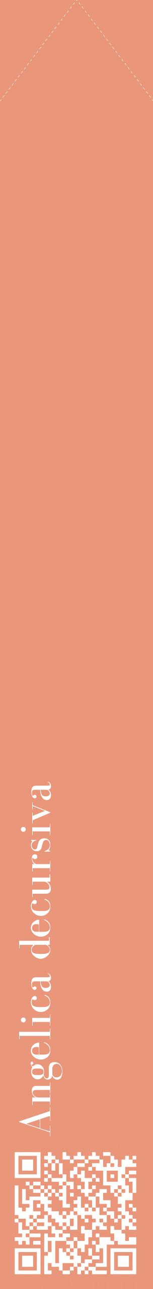 Étiquette de : Angelica decursiva - format c - style blanche37_simplebod avec qrcode et comestibilité