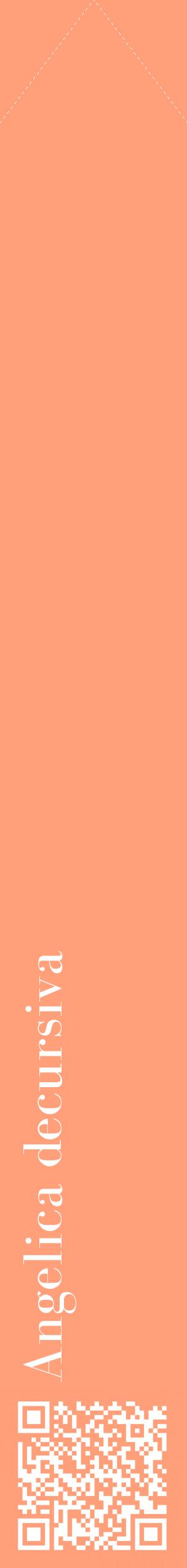Étiquette de : Angelica decursiva - format c - style blanche39_simplebod avec qrcode et comestibilité