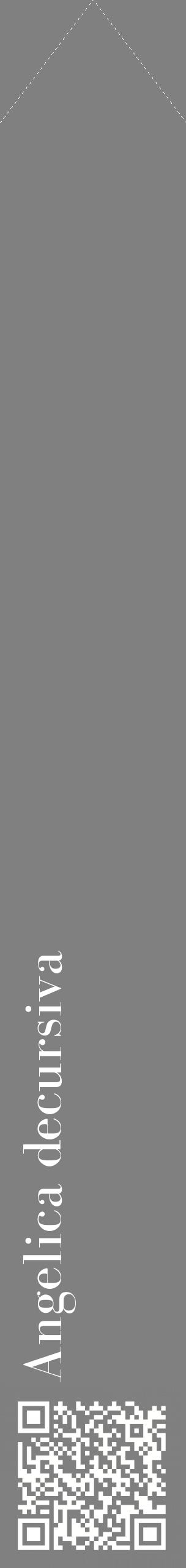 Étiquette de : Angelica decursiva - format c - style blanche57_simplebod avec qrcode et comestibilité