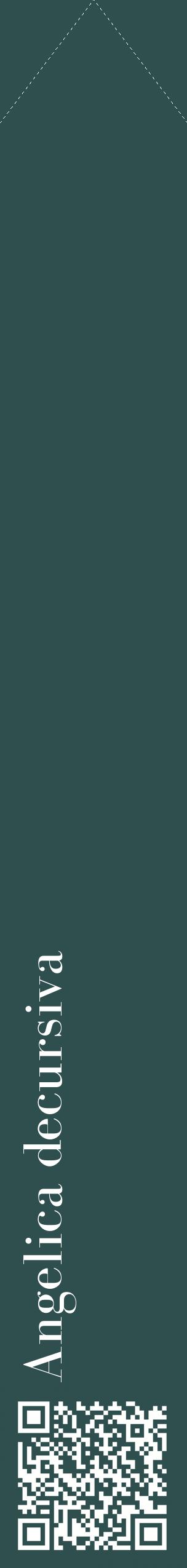 Étiquette de : Angelica decursiva - format c - style blanche58_simplebod avec qrcode et comestibilité