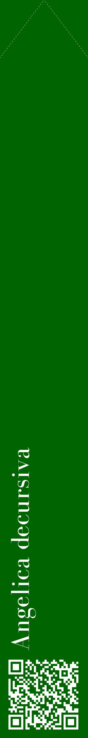 Étiquette de : Angelica decursiva - format c - style blanche8_simplebod avec qrcode et comestibilité