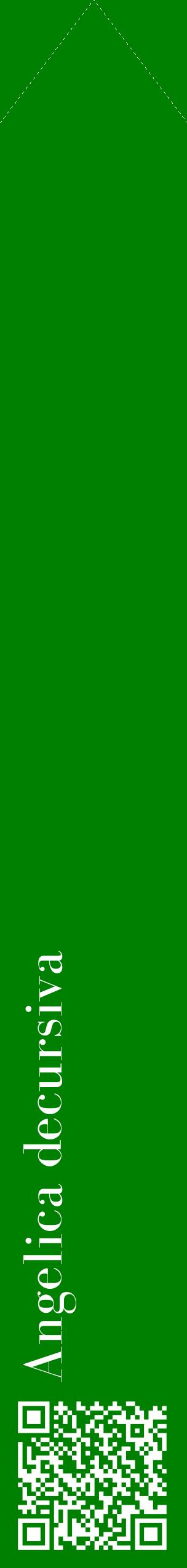 Étiquette de : Angelica decursiva - format c - style blanche9_simplebod avec qrcode et comestibilité
