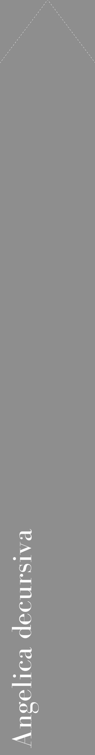 Étiquette de : Angelica decursiva - format c - style blanche25_simple_simplebod avec comestibilité - position verticale
