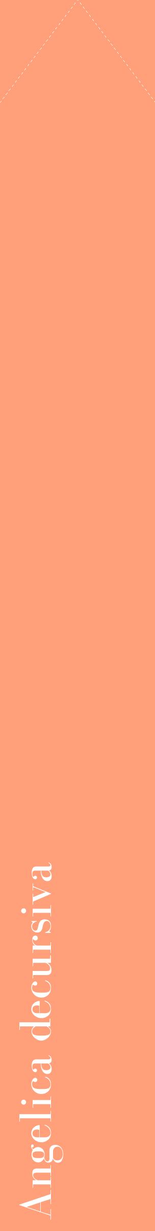Étiquette de : Angelica decursiva - format c - style blanche39_simplebod avec comestibilité