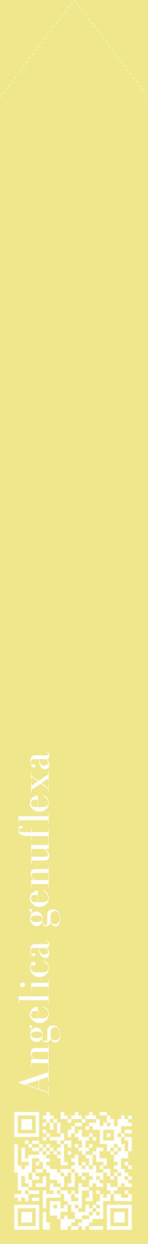 Étiquette de : Angelica genuflexa - format c - style blanche20_simplebod avec qrcode et comestibilité