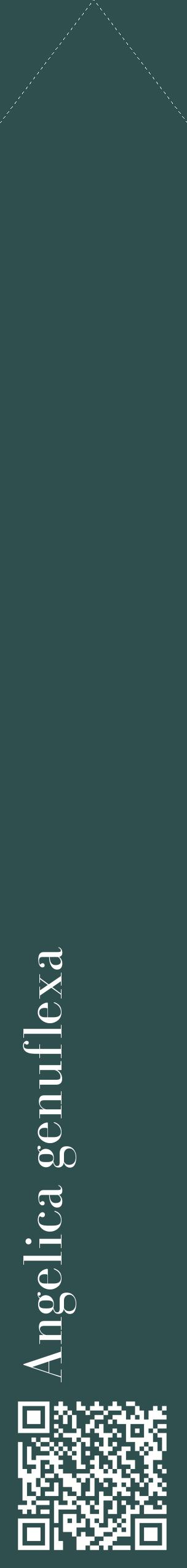 Étiquette de : Angelica genuflexa - format c - style blanche58_simplebod avec qrcode et comestibilité