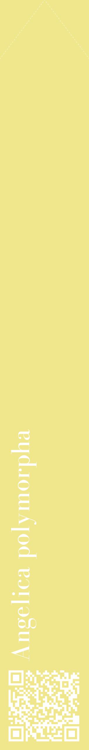 Étiquette de : Angelica polymorpha - format c - style blanche20_simplebod avec qrcode et comestibilité